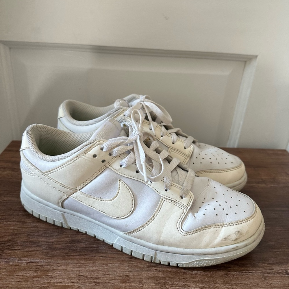 Nike Dunk Low Top
